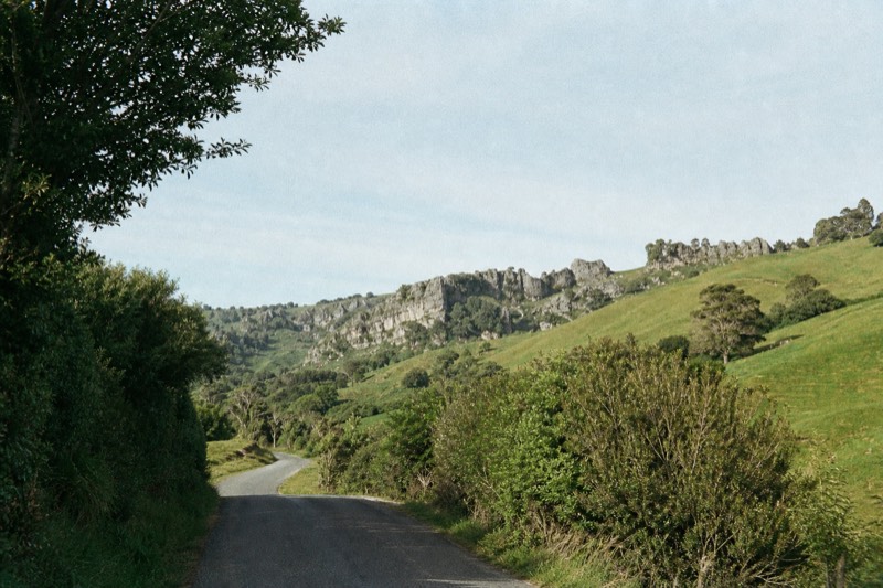 The Waikato farmland road between Auckland, Hobbiton and the Waitomo caves