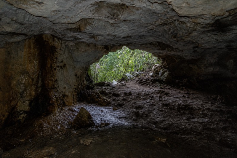 A small unformed glowworm cave chamber near Waitomo of the kind used for small-group eco cave tours