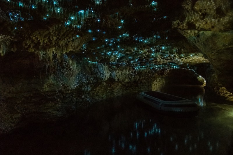 A low private cave chamber with glowworms directly overhead and still black water below