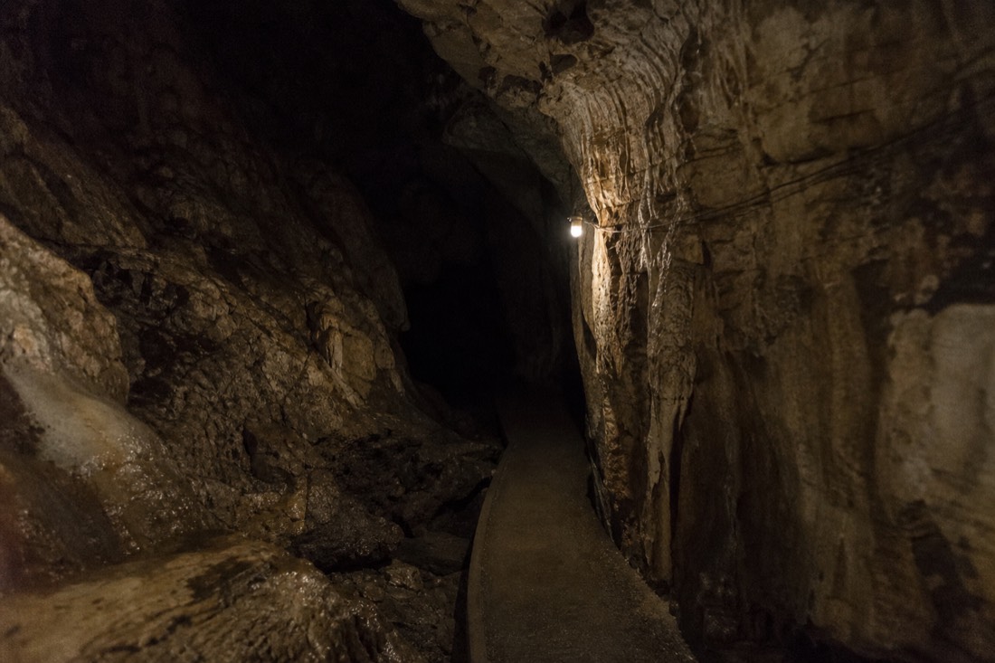 Another view at Waitomo: an empty boat tied at the landing inside a dark limestone cave beneath a ceiling of blue-green glowworm light