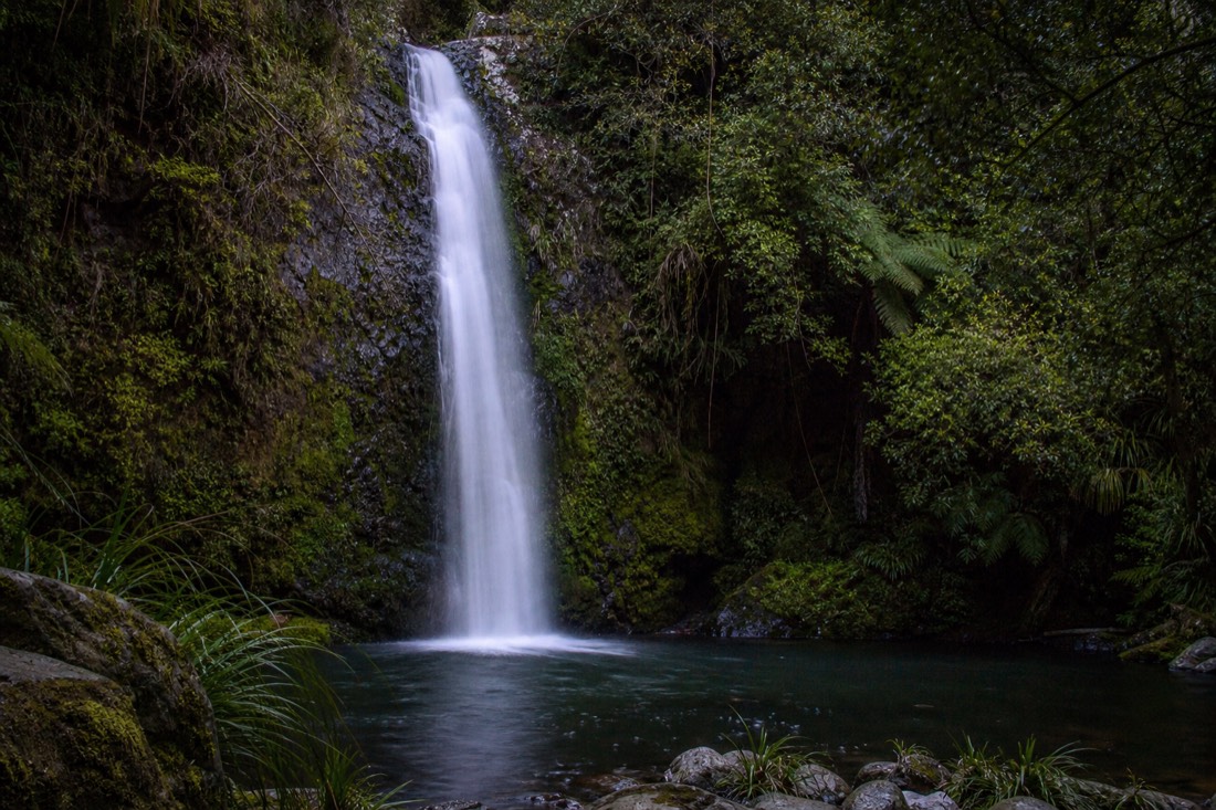 Another view at Waitomo: a natural limestone arch spanning a bush gully in New Zealand with mossy rock and tree ferns growing from the walls