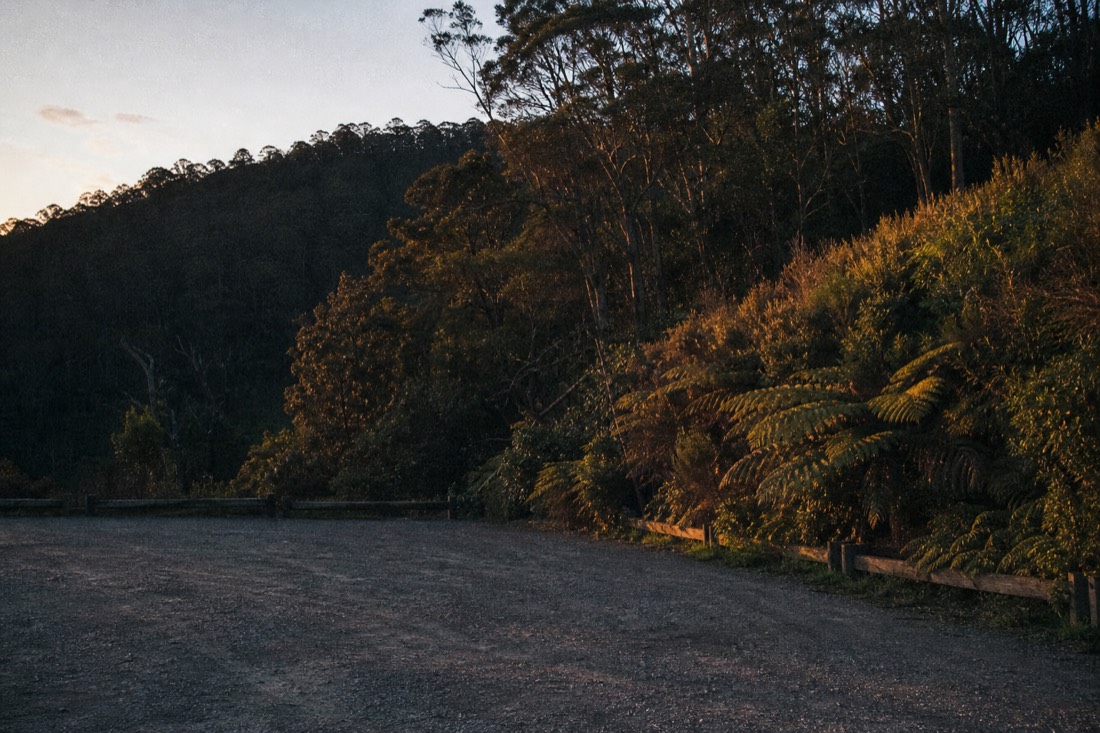 Another view at Waitomo: a cave entrance in dense bush at the very end of the day with last light on the ferns and the opening completely dark