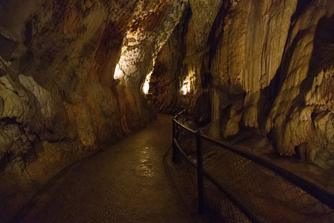 Another view at Waitomo: a gently sloping formed path inside a limestone cave with a sturdy handrail and low step lighting curving out of sight
