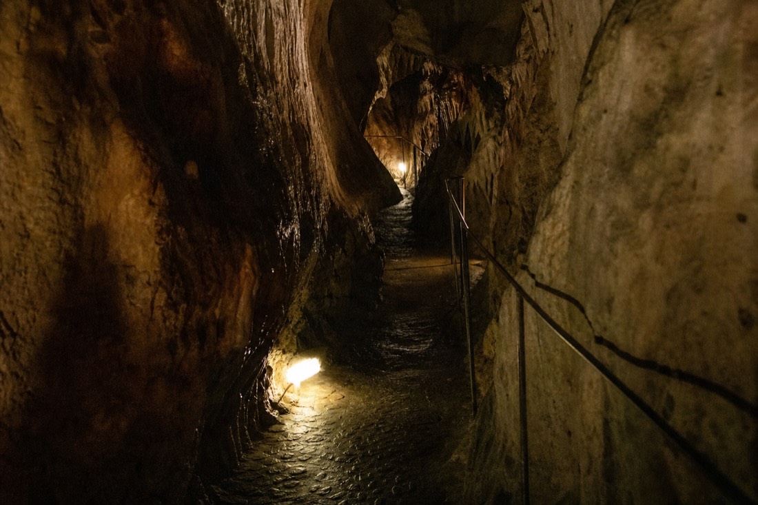 Another view at Waitomo: looking out from inside a limestone cave mouth towards green New Zealand bush and a grey sky