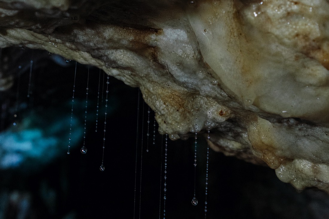 Another view at Waitomo: close-up of fine silk threads beaded with droplets hanging from a wet cave ceiling against a faint blue-green light