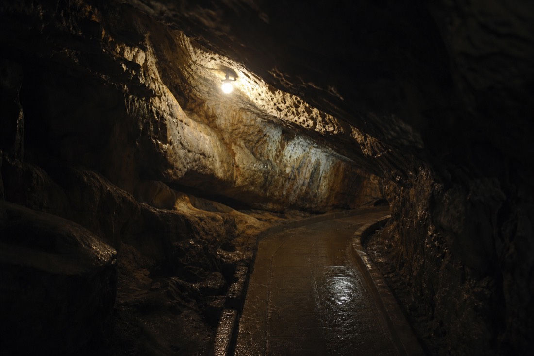 Another view at Waitomo: an empty formed walkway inside a limestone cave curving out of sight under one weak lamp with absolute dark beyond