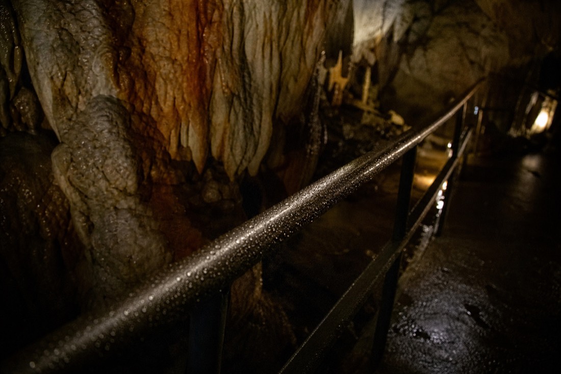 Another view at Waitomo: a wet formed walkway inside a cool limestone cave with condensation beading on the handrail