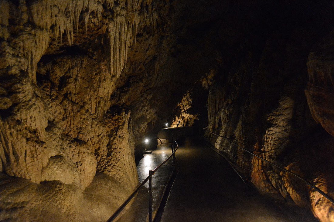 Another view at Waitomo: a wide concrete ramp with a continuous handrail spiralling down into a lit limestone shaft with no steps
