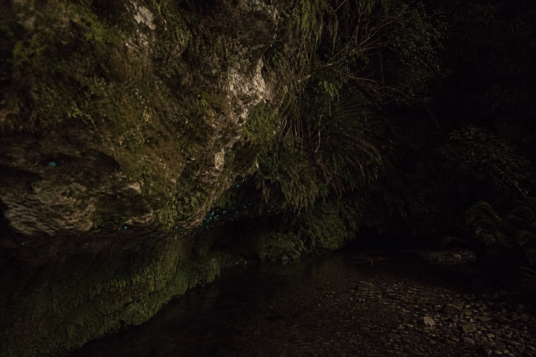 Another view at Waitomo: a dark overhanging rock bank beside a stream at night in New Zealand native bush with blue-green glowworm light reflected in the water