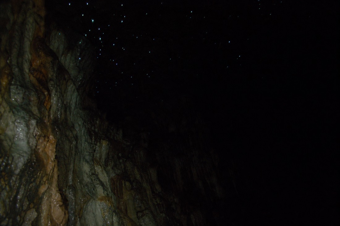 Another view at Waitomo: near-total darkness broken only by scattered blue-green points of glowworm light across a cave ceiling